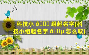 科技小 🐝 组起名字(科技小组起名字 🐵 怎么取)